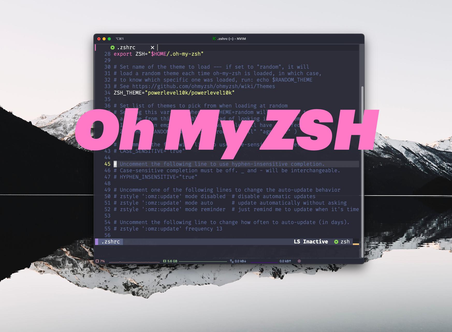 Image of Oh My Zsh settings in iTerm